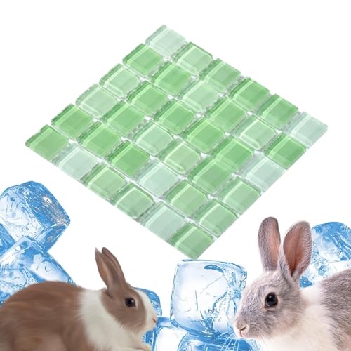 Generisch Chinchilla-Kühlstein, Kaninchen-Kühlmatte - Kaninchen Eisauflage Teller Sommerbett,Haustierbedarf, Hamster-Kühlmatte, Haustier-Wärmeableitungsplatte für Hamster, Hase von Generisch