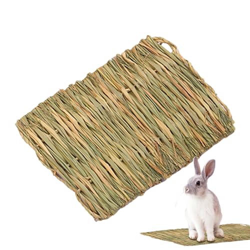 Generisch Grass Mat, Woven Scratching Pad, 11.02x15.75x0.39 Inches Soft Mat Chew Toy, Natural Rest Bedding, Animal Sleeping Pads for Pets, Cats, Bunnies, Dogs, Resting and Play Area Generisch Grass Mat, Woven Scratching Pad, 11.02x15.75x0.39 Inches Soft Mat Chew Toy, Natural Rest Bedding, Animal Sleeping Pads for Pets, Cats, Bunnies, Dogs, Resting and Play Area von Generisch