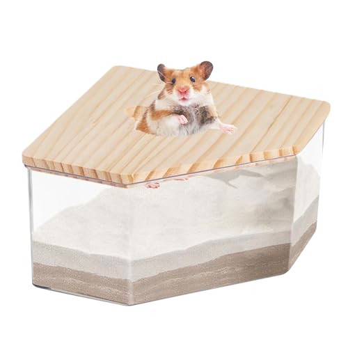 Generisch Hamster Badesandbehälter Staub Badebox Transparente Hamsterbox Zum Sandbaden Kleintiertoilette Rennmaus Badezimmer Mit Leiter Für Schlafzimmer Wohnzimmer von Generisch