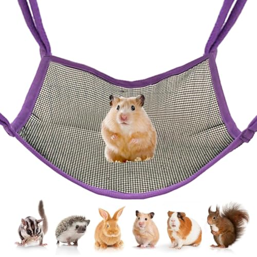 Generisch Hamster Hängematte | Hamster Schlafbett | Atmungsaktives Nagesicheres Schaukelspielzeug mit Kletterfunktion zur Beschäftigung für Schlafen Erkundung Bewegung und Tägliches Verstecken Generisch Hamster Hängematte | Hamster Schlafbett | Atmungsaktives Nagesicheres Schaukelspielzeug mit Kletterfunktion zur Beschäftigung für Schlafen Erkundung Bewegung und Tägliches Verstecken von Generisch