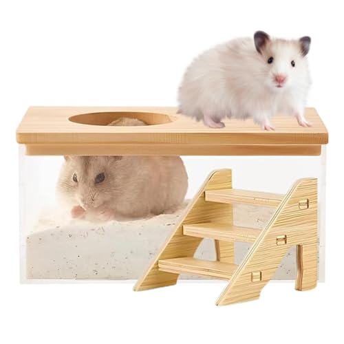 Generisch Hamster-Sand-Badebox, Hamster-Badesand-Behälter | Transparente Hamsterbox zum Sandbaden,Kleintiertoilette, Rennmaus-Badezimmer mit Leiter für Schlafzimmer, Wohnzimmer von Generisch