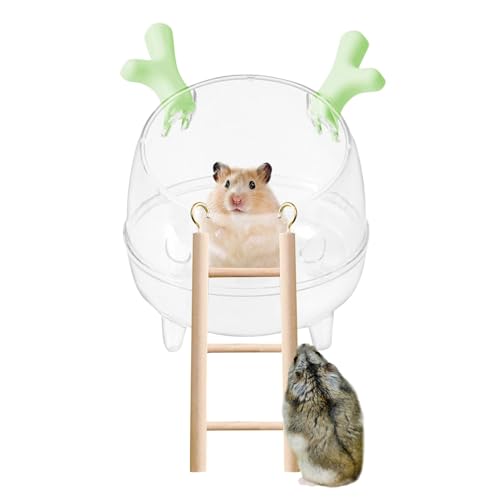 Generisch Hamster-Sandbadebox, Sandbadewanne für Hamster - Pet Hamsters Sandbadeschale, transparent, mit Leiter | Indoor Animal Habitat Decor 360-Grad-Betrachtungsbehälter für Lemminge, Rennmäuse von Generisch