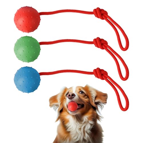 Generisch Hundeball mit Schnur,3 Ball mit Schnur Hund, ø 5cm Ball am Seil Naturkautschuk, High Bounce Ball Spielzeug für Hunde, für Fangen,Werfe,Hundebälle Kleine Hunde,Große Hunde (Rot Blau Grün) von Generisch