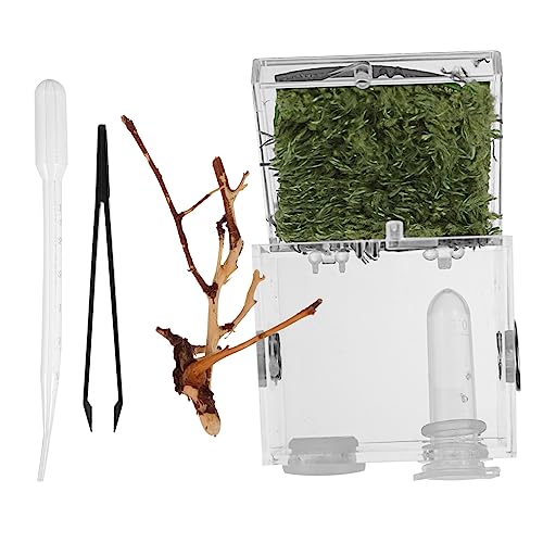 Generisch Kasten Springspinnen-zuchtbox Spinnenzucht Abs Mini-tierwächter Reptilien-Terrarium-kit Multi Vogelspinne-Terrarium Pumpe Terrarieninsekt Duschhaken Reptilienpflanzen Leopard Acryl von Generisch