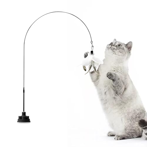 Generisch Katzenangel | Katzenangel Mit Glöckchen Und Schnur - Interaktives Kätzchen Spielzeug Mit Saugnapf Für Drinnen Jagdspielzeug Generisch Katzenangel | Katzenangel Mit Glöckchen Und Schnur - Interaktives Kätzchen Spielzeug Mit Saugnapf Für Drinnen Jagdspielzeug von Generisch