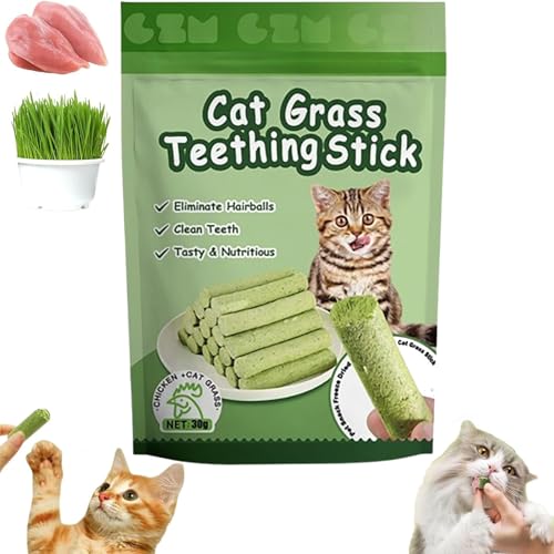 Generisch Kittygreen Sticks, Kittygreen Cat Grass Teething Sticks for Indoor Cats, Berdexa Stick, Cat Grass Chew Stick, Cat Grass Sticks for Indoor Cats, Molar Rod Cat Toy Teeth Cleaner (1Pack(6pcs)) von Generisch