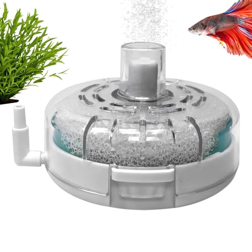 Generisch Kompakt Filter Für Aquarium | Filter Für Kleine Aquarien - Ersatzfilter Belüfter Für Terrarium Süßwasserschildkröten Zuchtteich Generisch Kompakt Filter Für Aquarium | Filter Für Kleine Aquarien - Ersatzfilter Belüfter Für Terrarium Süßwasserschildkröten Zuchtteich von Generisch