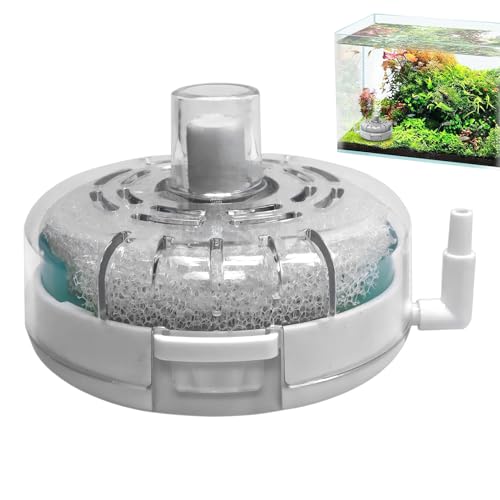 Generisch Mini-Aquariumfilter | Filter Für Aquarium - Pumpe Filtrationssystem Belüfter Für Aquarium Teich Terrarium Generisch Mini-Aquariumfilter | Filter Für Aquarium - Pumpe Filtrationssystem Belüfter Für Aquarium Teich Terrarium von Generisch