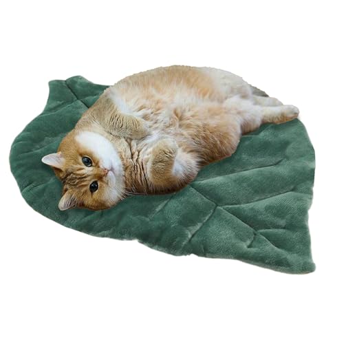 Generisch Niedlicher Katzenbett | Weiche Katzenkissen Hundebett | Schlafkissen Waschbar Für Indoor Transportbox Autositz Reise Camping Couch | Hundekatzen Kleintier Generisch Niedlicher Katzenbett | Weiche Katzenkissen Hundebett | Schlafkissen Waschbar Für Indoor Transportbox Autositz Reise Camping Couch | Hundekatzen Kleintier von Generisch