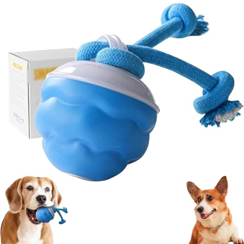 Generisch Power Tail 2.0 Dog Toy, Barks Power Tail Dogs Toy, PuptexShop Dog Ball, Puptexshop Moving Smart Squeaky Automatic USB Rechargeable for Small Medium (Bule) von Generisch