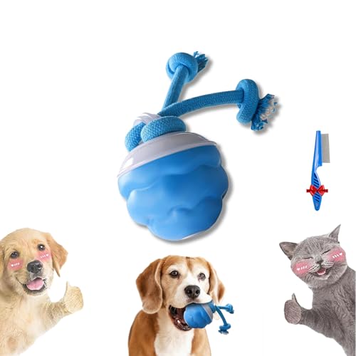 Generisch Power Tail 2.0 Dog Toy, Barkzys 2025 New Interactive Toy, Power Tail 2.0 Dog Toys, Duraspin Dogs Ball with Motion Activated, Interactive Dogs Toys with Motion Activated (1pc) von Generisch