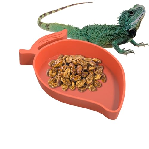 Generisch Reptile Food Dish - Mango Water Dish for Reptile Tank, Reptile Food and Water Dish | Pet Food Dish, Reptile Food Bowl, Turtle Habitat Lizard Hamster Snake Pet Accessories for Food von Generisch