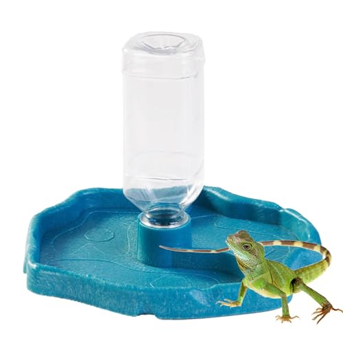 Generisch Reptilien-Wassernapf, Reptilien-Futternapf | Automatischer Futternapf | Schildkröten-Wassernapf, Wasserspender, sichere Futter- und Wassernäpfe für Schlangen-Eidechsenschildkröten von Generisch