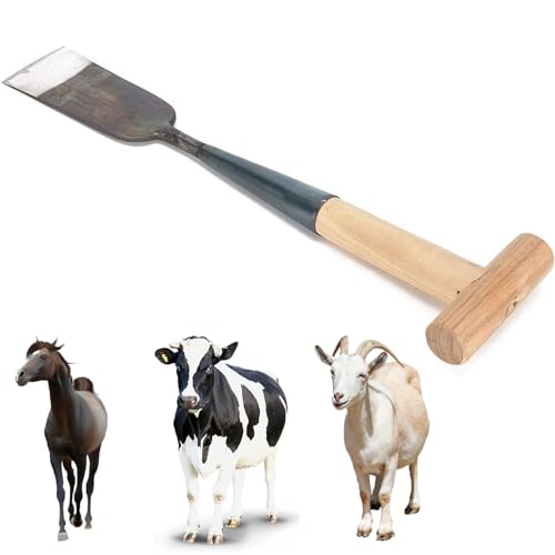 Generisch Ziegenhufschaufel,Pferdehufschneidewerkzeuge,Solid Donkey Huftrimmer Huftrimmwerkzeuge - Hufeisenschaufel mit bequemem Griff für große Nutztiere, Ziegen, Bauernhöfe von Generisch