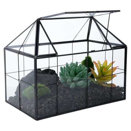 Geometrischer Pflanzenhalter aus Glas mit Abdeckung, handgefertigtes Terrarium für Sukkulenten, Kakteen und kleine Pflanzen, Messingrahmen, dekorativer Behälter von Generisch