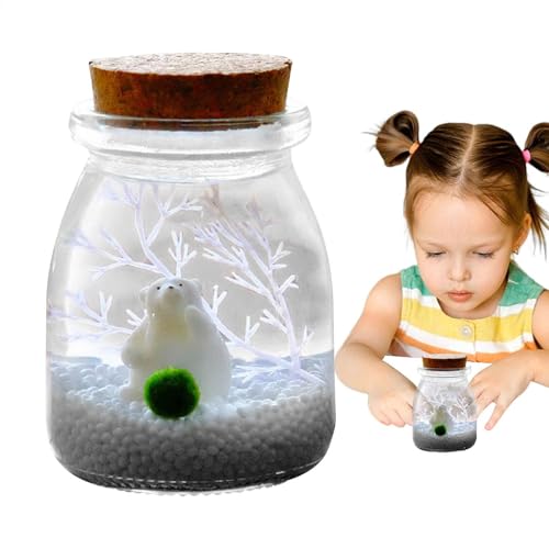 Glas-Landschaftsflasche, Terrarium-Behälter mit Licht – kreative Dekoration, Dekoration, Vase, Landschafts-Ornament von Generisch