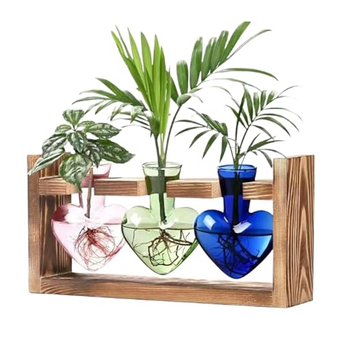 Glas-Terrarien für Pflanzen, herzförmiges Glaspflanzen-Terrarium, Anzuchtstation, Holzständer, Tisch-Pflanzgefäß für Hydrokultur, Gartendekoration, Terrarium von Generisch