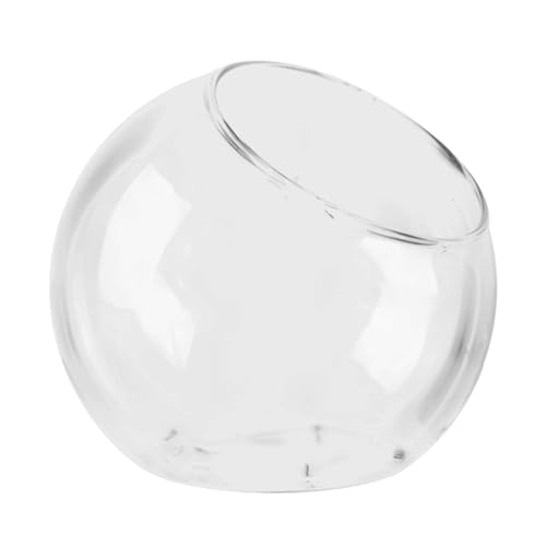 Glasbehälter für Pflanzen, Glas-Terrarium, transparentes Pflanzgefäß, Pflanzenliebhaber, Geschenke für Frauen, Hydrokultur-Pflanzen, Zuhause, Garten, Hochzeitsdekoration (12 cm, 16 cm, 20 cm) von Generisch