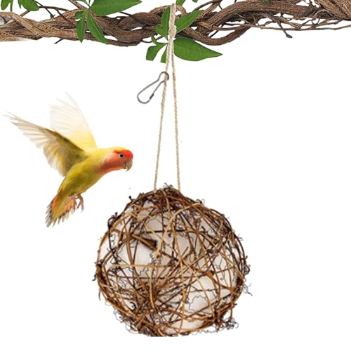Globe Kolibri-Nester,Vogel-Nisthaus,Kolibri-Haus-Nestball - -Vogelhaus, nachfüllbare Vogelniststation für den Außenbereich, Kolibri-Niststation Globe Kolibri-Nester,Vogel-Nisthaus,Kolibri-Haus-Nestball - -Vogelhaus, nachfüllbare Vogelniststation für den Außenbereich, Kolibri-Niststation von Generisch