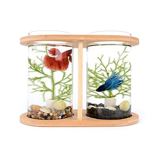 Goldfish Tank, ökologisches Mini-Aquarium-Set mit gehärtetem Glas für den Schreibtisch, Bambus-Holz-Aquarium-Set für Goldfische, schafft eine ruhige Wasserumgebung von Generisch