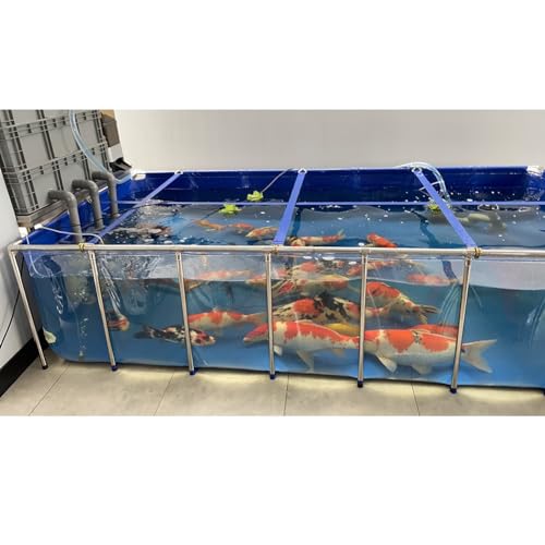 Großer Hinterhof-Aquarium-Pool-Teich mit transparentem Sichtfeld, Stahlrahmen und Ablaufventil, Outdoor-Fischteich für Bing-Wassertank von Generisch