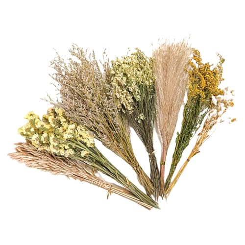 Hamster-Heublumen-Bettwäsche – Zubehör für Blumenhamsterkäfige, natürliche Blumenstreu für Chinchillas, Eichhörnchen, Lemming Habitat- , 25 cm Hamster-Heublumen-Bettwäsche – Zubehör für Blumenhamsterkäfige, natürliche Blumenstreu für Chinchillas, Eichhörnchen, Lemming Habitat- , 25 cm von Generisch