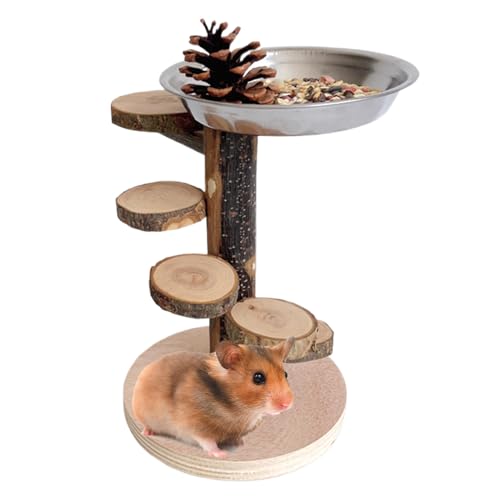 Hamster Holzleiter, Holzleiter Nagertierspielzeug Für Hamster, Chinchilla, Zwerghamster, Kletter- und Bewegungsspielzeug für Kleintiere wie Chinchilla, Eichhörnchen und Rennmäuse zur Käfigbeschäftigun Hamster Holzleiter, Holzleiter Nagertierspielzeug Für Hamster, Chinchilla, Zwerghamster, Kletter- und Bewegungsspielzeug für Kleintiere wie Chinchilla, Eichhörnchen und Rennmäuse zur Käfigbeschäftigun von Generisch