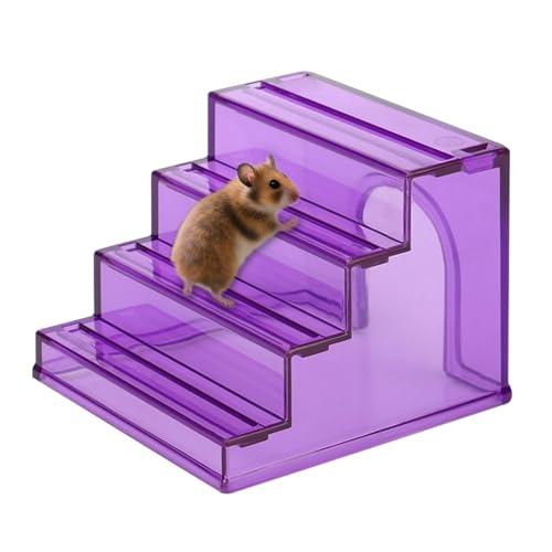 Hamster Kletterleiter | Hamstermöbel,2-in-1 Gehegelandschaft Mit Rutschfesten Spielzeug Für Nager Bewegung Futtersuche Knabberbedürfnisse Nistplatz Hamster Kletterleiter | Hamstermöbel,2-in-1 Gehegelandschaft Mit Rutschfesten Spielzeug Für Nager Bewegung Futtersuche Knabberbedürfnisse Nistplatz von Generisch