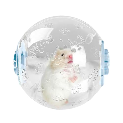 Hamster -Übungskugel, Rennmachball | Transparentes ruhiges Hamster -Fitnessrad,Radkäfigzubehör für kleine Haustiere lustige Momente für Familienfreunde Kinder Erwachsene Hamster -Übungskugel, Rennmachball | Transparentes ruhiges Hamster -Fitnessrad,Radkäfigzubehör für kleine Haustiere lustige Momente für Familienfreunde Kinder Erwachsene von Generisch