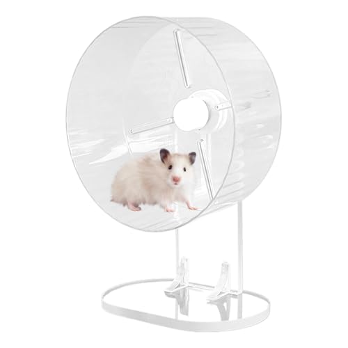 Hamster Wheel, Acrylic Silent Exercise Spinner, Animals Running Wheel, Quiet Exercise Accessory for Gerbil, Dwarf & Syrian Animal, Easy to Install and Clean for Pet Activity von Generisch