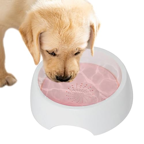 Haustier -Schwimmwasserschale, langsame Trinkschale für Hunde | 1500 ml Haustier Slow Feeder - Keine Tropfen-Pet-Floating-Schüssel, große Kapazitätsnäher für langsames Trinken von Generisch