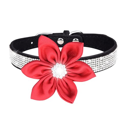 Haustierhalsband, glänzendes Strass-Hundehalsband, kleine mittelgroße Hundeleine, Mikrofaser-Katzenhalsband Fettleder Hundehalsband (K, D) von Generisch