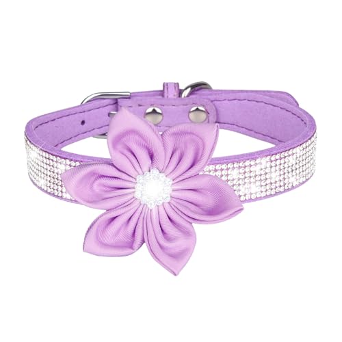 Haustierhalsband, glänzendes Strass-Hundehalsband, kleine mittelgroße Hundeleine, Mikrofaser-Katzenhalsband Fettleder Hundehalsband (Q, F) von Generisch