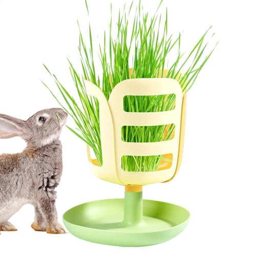 Hay Feeder, Kaninchen Katzentoilette mit Hay Feeder,PP Blütenform Kaninchenfutter mit Bodenschalen -Design | Bunny Accessoires, Food Bowl, Small Animal Feeding für das chinesische Neujahr, Valentinsta von Generisch