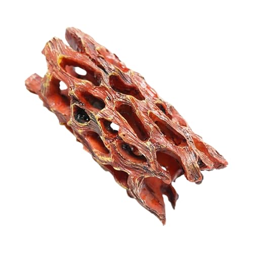 -Höhle Aquarium – Betta Habitat Tank Ornament | Harz Aquarium Ruhtunnel für Aquarium Dekoration, Betta Zuchthaus -Höhle Aquarium – Betta Habitat Tank Ornament | Harz Aquarium Ruhtunnel für Aquarium Dekoration, Betta Zuchthaus von Generisch
