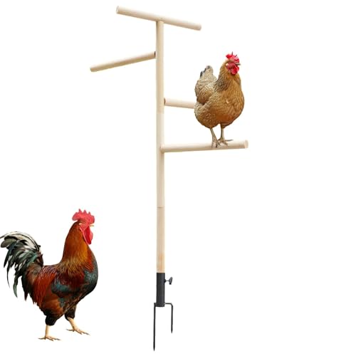 Hühnersitzstange für Stall, große Outdoor Stand Spielzeug Sitzstange für Huhn, Spielplatz Vögel Training Ast Sitzstange mit Bodenstopfen für Nymphensittiche, Papageien, Truthahn, Hühner, Lovebirds von Generisch