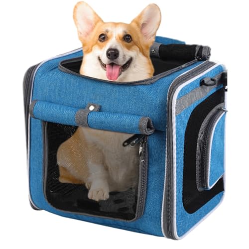 Hund Fahrrad Korb, Fahrradkorb Transportbox, Verstellbare Tasche Tragerucksack Für Fahrradausflüge Camping Wanderung Reisen Hund Fahrrad Korb, Fahrradkorb Transportbox, Verstellbare Tasche Tragerucksack Für Fahrradausflüge Camping Wanderung Reisen von Generisch