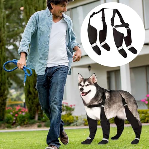 Generisch Hund Regenboots wasserdichte Hundeschuhe mit Aufhängeschlitten Hundeschuhe Reflexionshunde Schuhe & mittelgroße Hundeschützensätze Hundeschuhe Wandern Regen und Schnee Tag (XL) von Generisch