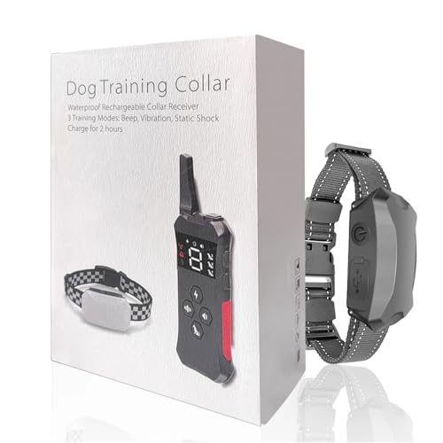 Hund Spazieren Übungsleine Robuste Nylon Hundeleine Schleppleine für Hunde Wasserdicht Hunde Training Leads Dogs Trainingsleinen für Hundetraining von Generisch