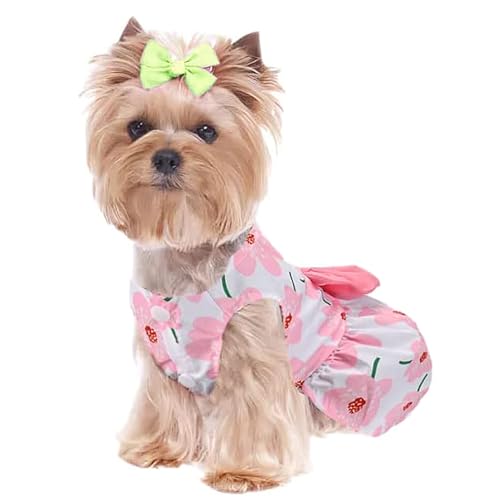 Hunde Frühlingskleid Bowknot für kleine Hunde mit Fliege, Haustier Prinzessin Kleid Hund Sommerkleid Hund Prinzessin Kleid,Mädchen-Hundekleidung, Outfit, süße Sommer-Katzenkleidung für Chihuahua Hunde Frühlingskleid Bowknot für kleine Hunde mit Fliege, Haustier Prinzessin Kleid Hund Sommerkleid Hund Prinzessin Kleid,Mädchen-Hundekleidung, Outfit, süße Sommer-Katzenkleidung für Chihuahua von Generisch