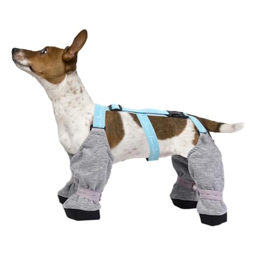 Hunde-Hosenträgerstiefel – Hundestiefel-Leggings | Hundestiefel und Pfotenschutz | Verstellbare Hundepfoten-Stiefel-Leggings | Schmutzfester Pfotenschutz für Haustiere | Anti-Fall-Hundestiefel für Out von Generisch