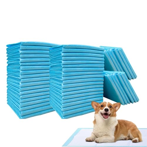 Hunde-Pipi-Pads, Töpfchen-Pads für Hunde,Töpfchen-Trainingsunterlagen für kleine Hunde - Super saugfähige Hunde- und Katzenwindel, Welpen-Haustier-Urin-Windelunterlage, Katzenstreu-Toiletten-Hundeprod von Generisch