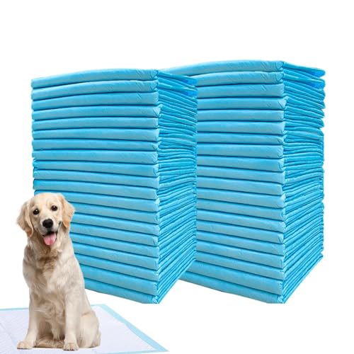 Hunde-Pipi-Pads, Töpfchen-Pads für Hunde | Große Hunde-Pipi-Pads | Super saugfähige Hunde- und Katzenwindel, Welpen-Haustier-Urin-Windelunterlage, Katzenstreu-Toiletten-Hundeprodukte für das Toiletten von Generisch