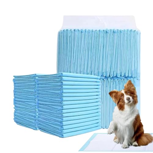 Hunde-Pipi-Pads, Töpfchen-Pads für Hunde | Wasserdichte Haustier-Pipi-Pads - Super saugfähige Hunde- und Katzenwindel, Welpen-Haustier-Urin-Windelunterlage, Katzenstreu-Toiletten-Hundeprodukte für das von Generisch