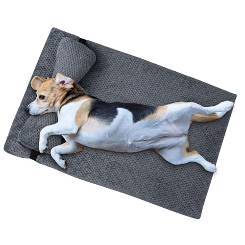 Hundebett | Haustierbett | Orthopädisches Hundebett | Hundematratze | orthopädische Schlafmatte mit abnehmbarem Kissen | rutschfeste Unterseite für Haustiere, Couch, Hundebett, Hundekäfigbett für von Generisch