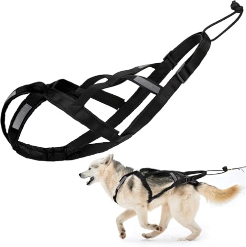 Hundegeschirr zum Ziehen, verstellbares Hundegeschirr für Schlittenübungen mit reflektierenden Streifen, Haustierschlitten, Radfahren, Skifahren, Laufen, Canicross, Rollen, für durchschnittliche Hunde Hundegeschirr zum Ziehen, verstellbares Hundegeschirr für Schlittenübungen mit reflektierenden Streifen, Haustierschlitten, Radfahren, Skifahren, Laufen, Canicross, Rollen, für durchschnittliche Hunde von Generisch