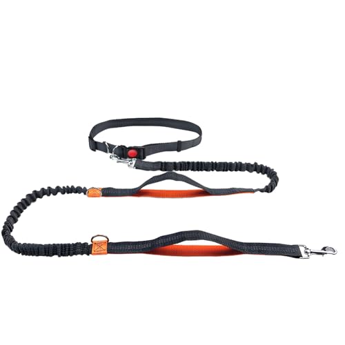 Hundeleine mit reflektierendem Streifen, verstellbare Taille für kleine Hunde, stoßdämpfendes Bungee, 1,5 - 2,5 m Hundeleine mit reflektierendem Streifen, verstellbare Taille für kleine Hunde, stoßdämpfendes Bungee, 1,5 - 2,5 m von Generisch