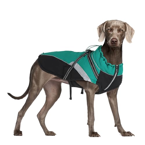 Hundemantel Wasserdicht, Winter Doppelseitig Wasserdicht Hundejacke mit Geschirr & Reflektorstreifen, Hundemantel für Mittlere und Große Hunde (3XL) von Generisch