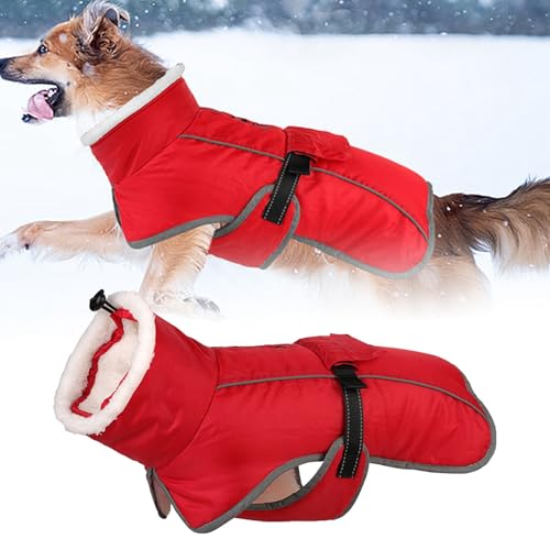 Hundemantel Wasserdicht Wintermantel für Hunde, Hundejacke für kaltes Wetter mit Polsterung, Hundeweste mit integrierter Warmer Haustierkleidung, Hundebekleidung mit Reißverschluss auf (D, One Size) von Generisch