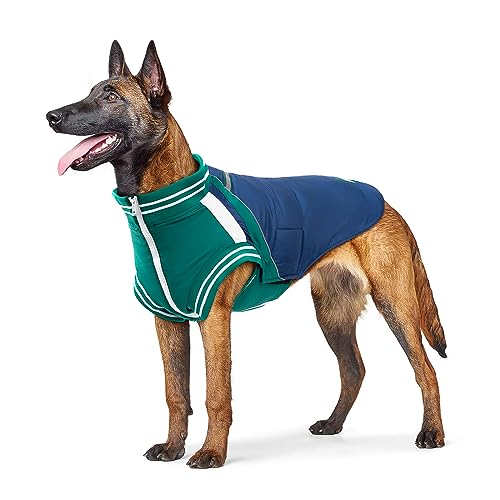 Hundemantel mit Geschirr, Baseball Hundejacke für Mittlere und Große Hunde, Winddichter Warme Hundemantel mit Fleece-Futter für den Winter im Freien (3XL) von Generisch